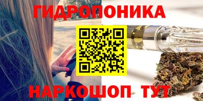 мет Дубна